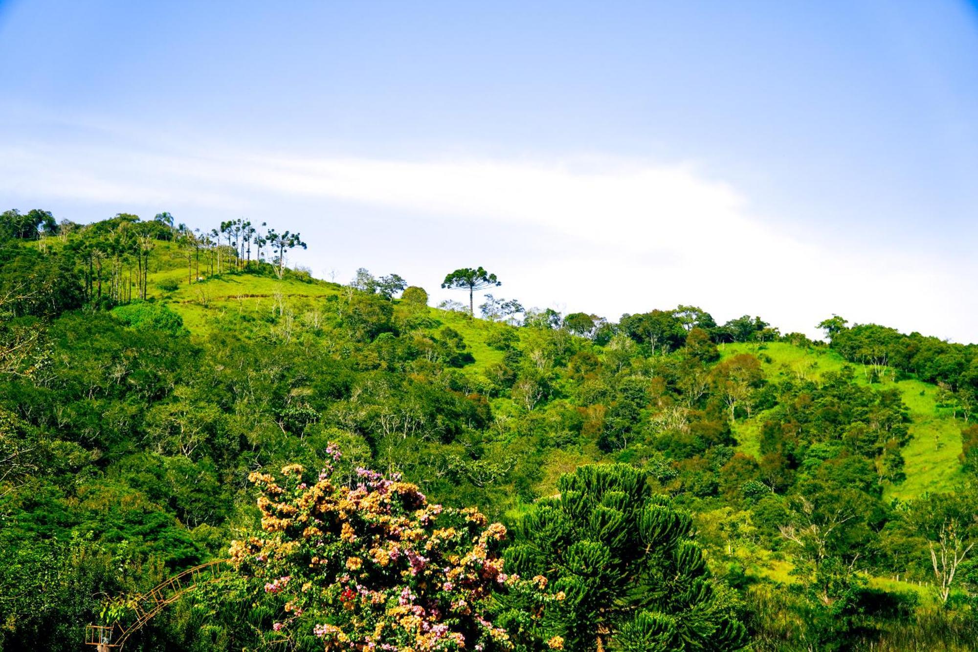 Pousada Highland Santo Antônio do Pinhal Eksteriør billede